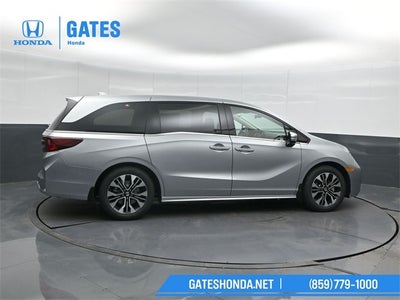 2026 Honda Odyssey Elite