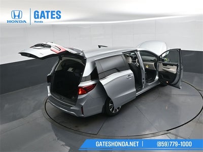 2026 Honda Odyssey Elite