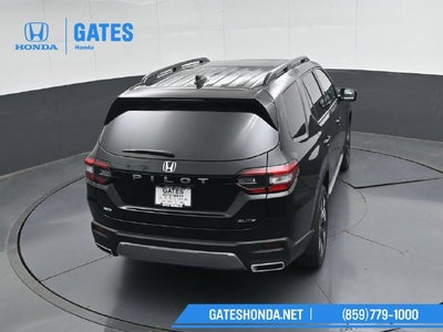 2026 Honda Pilot Elite