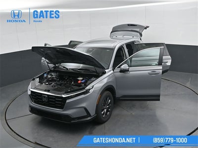 2026 Honda CR-V EX-L