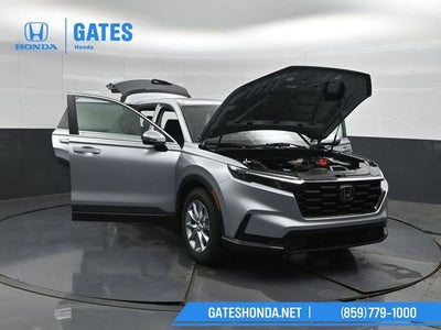 2026 Honda CR-V EX
