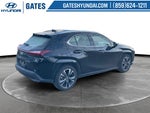 2025 Lexus UX 300h Premium