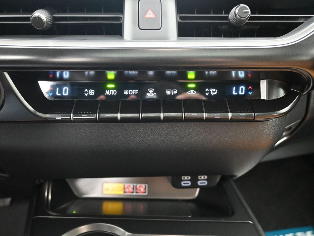 2025 Lexus UX 300h Premium