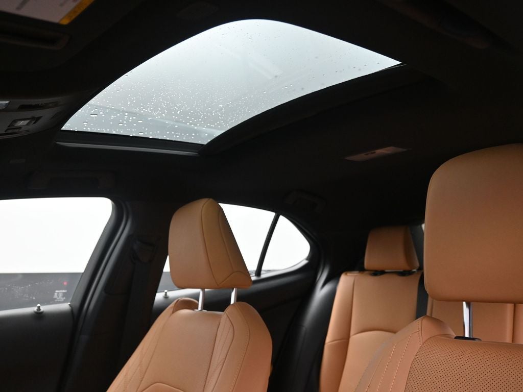 2025 Lexus UX 300h Premium