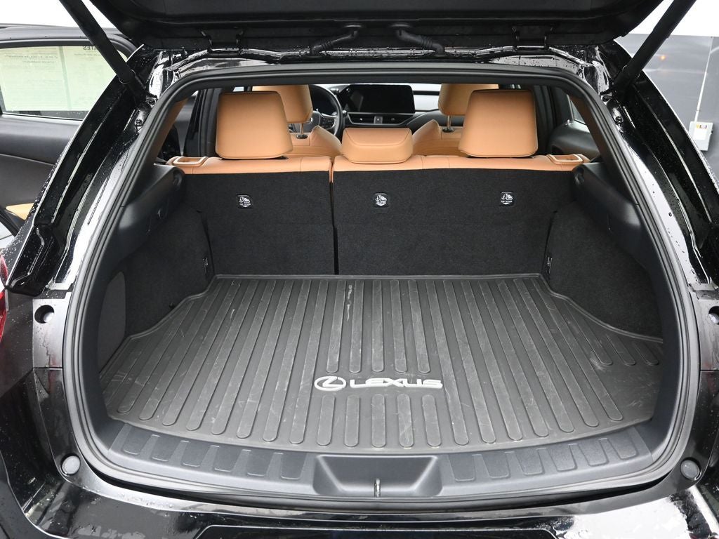 2025 Lexus UX 300h Premium