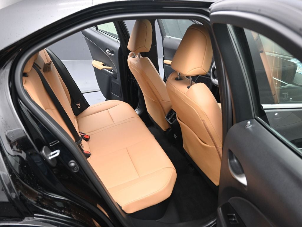 2025 Lexus UX 300h Premium