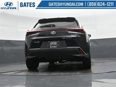 2025 Lexus UX 300h Premium