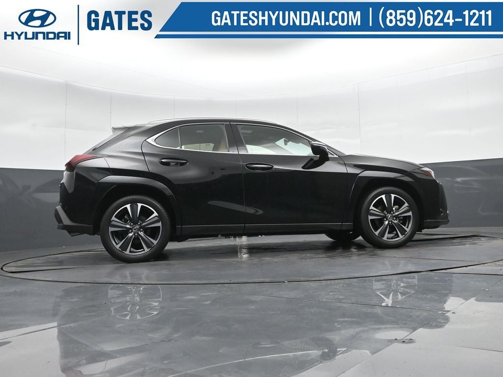 2025 Lexus UX 300h Premium