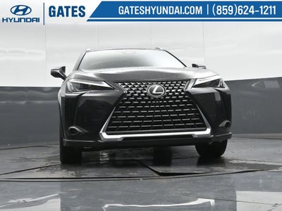 2025 Lexus UX 300h Premium