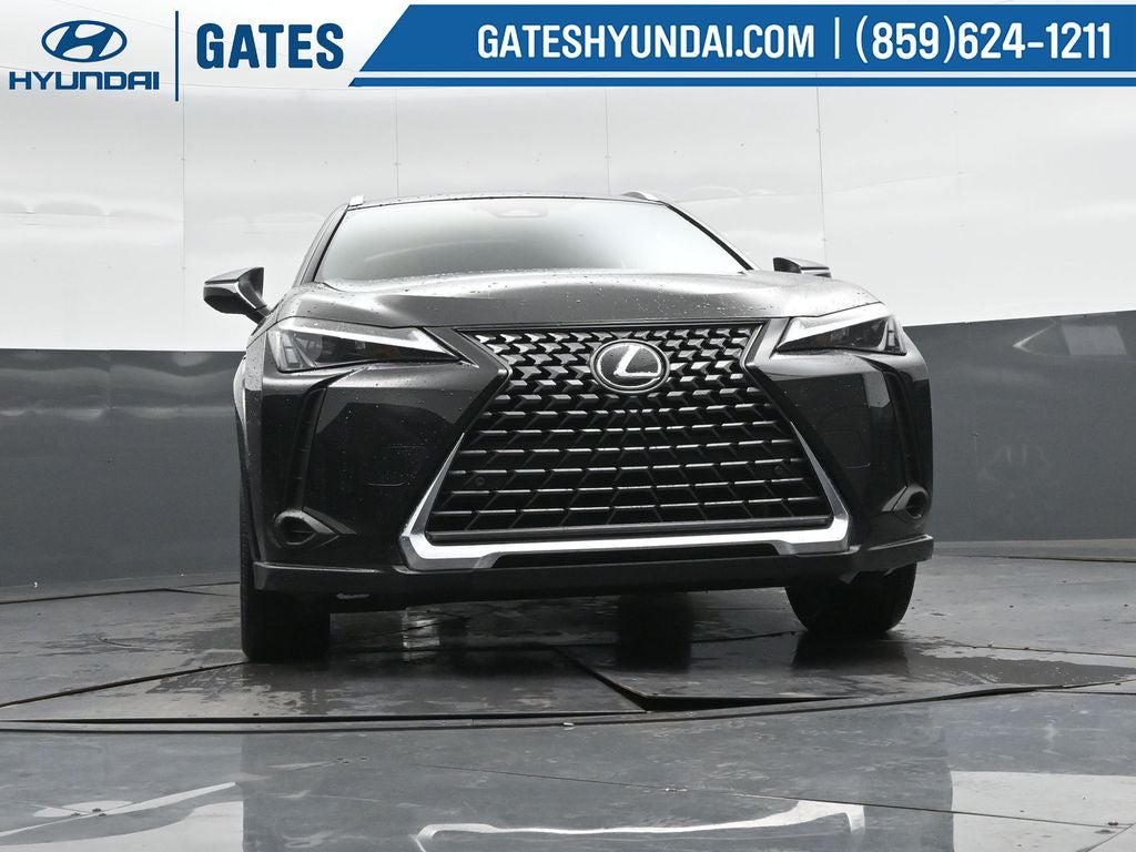 2025 Lexus UX 300h Premium