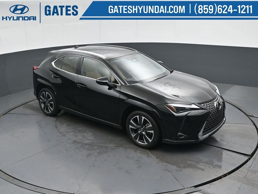 2025 Lexus UX 300h Premium