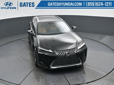 2025 Lexus UX 300h Premium