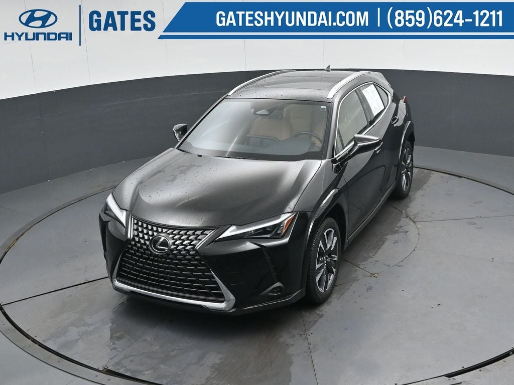 2025 Lexus UX 300h Premium