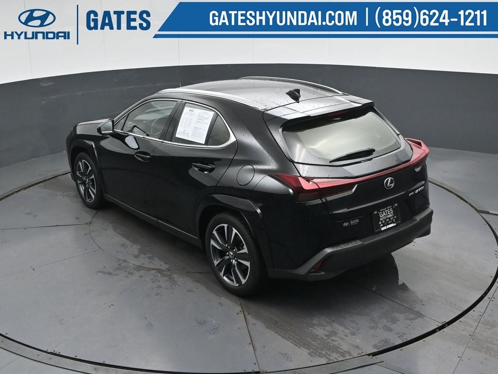 2025 Lexus UX 300h Premium