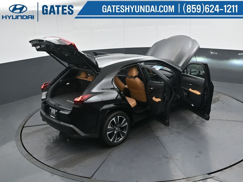 2025 Lexus UX 300h Premium