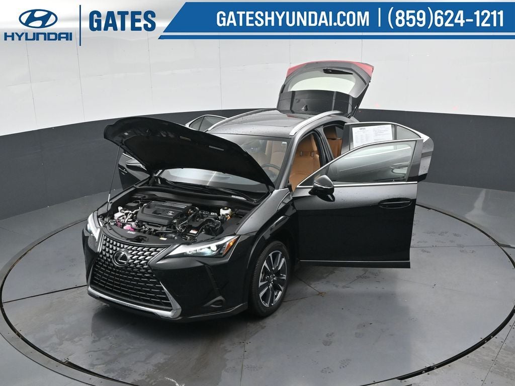 2025 Lexus UX 300h Premium