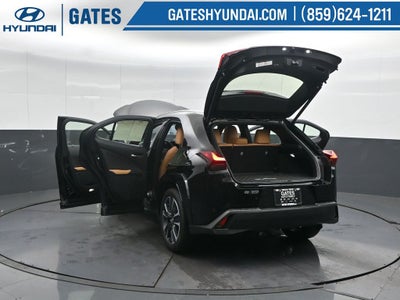 2025 Lexus UX 300h Premium