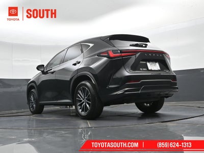 2024 Lexus NX 350h Luxury