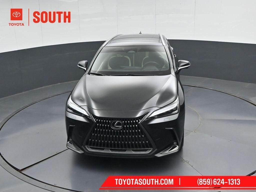 2024 Lexus NX 350h Luxury