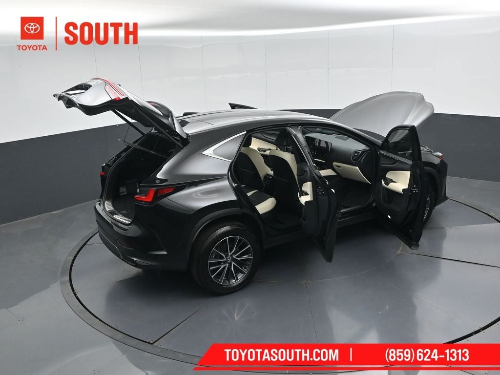 2024 Lexus NX 350h Luxury