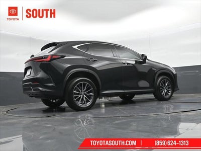 2024 Lexus NX 350h Luxury