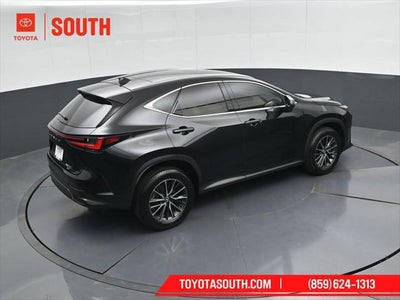 2024 Lexus NX 350h Luxury