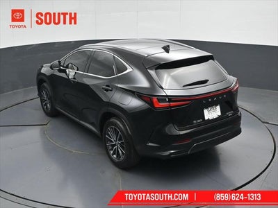 2024 Lexus NX 350h Luxury