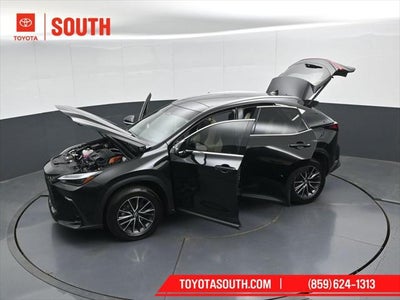 2024 Lexus NX 350h Luxury