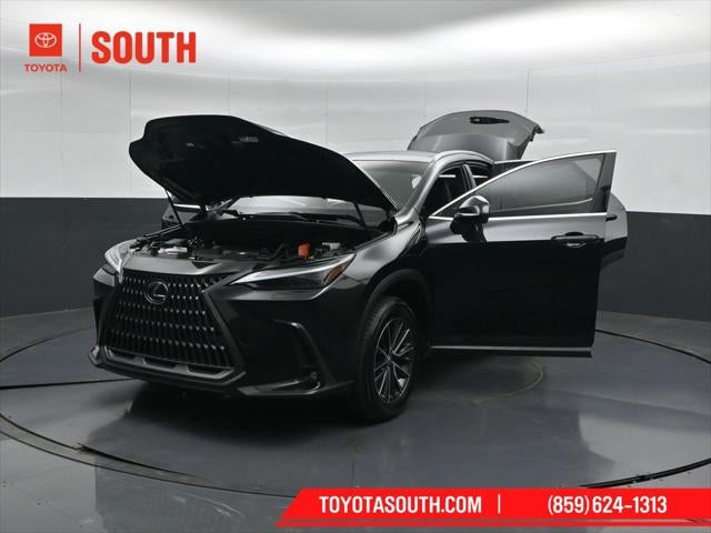 2024 Lexus NX 350h Luxury