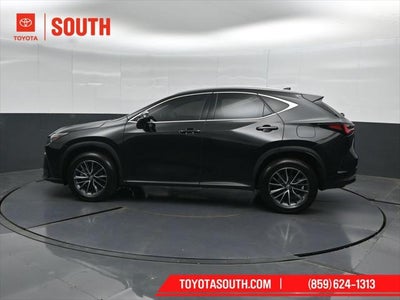 2024 Lexus NX 350h Luxury