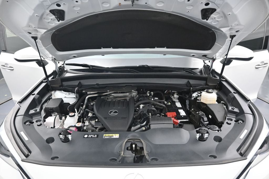 2024 Lexus TX 350 Premium