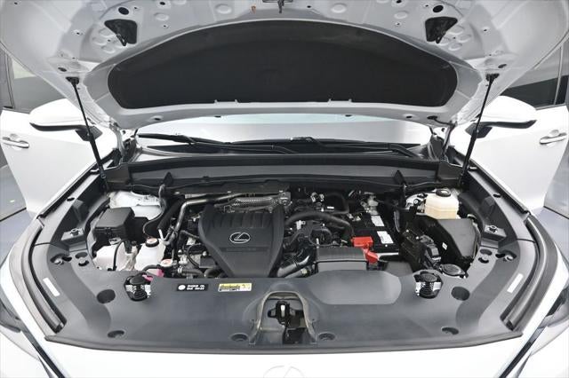 2024 Lexus TX 350 Premium
