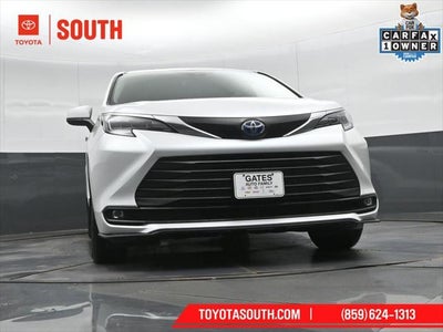 2025 Toyota Sienna XLE 7 Passenger