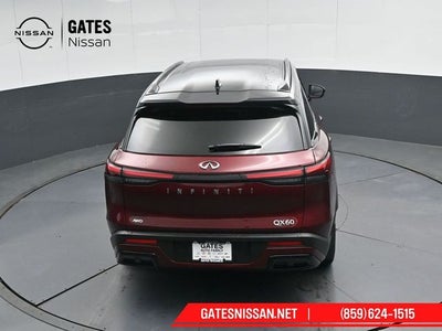 2023 INFINITI QX60 LUXE