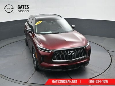 2023 INFINITI QX60 LUXE