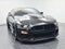 2022 Ford Mustang Shelby GT500