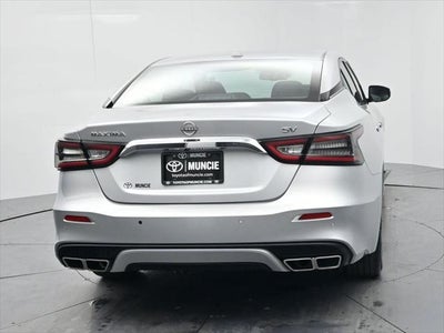 2023 Nissan Maxima SV