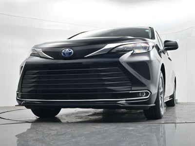 2024 Toyota Sienna XLE 8 Passenger