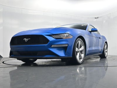 2019 Ford Mustang EcoBoost