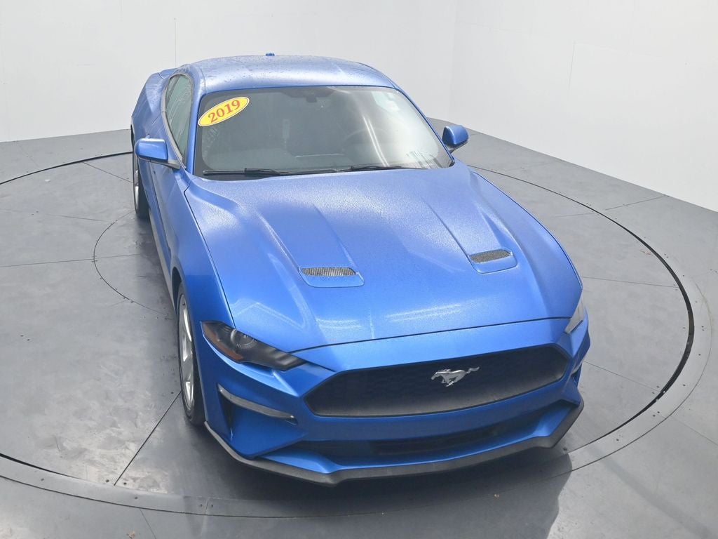 2019 Ford Mustang EcoBoost