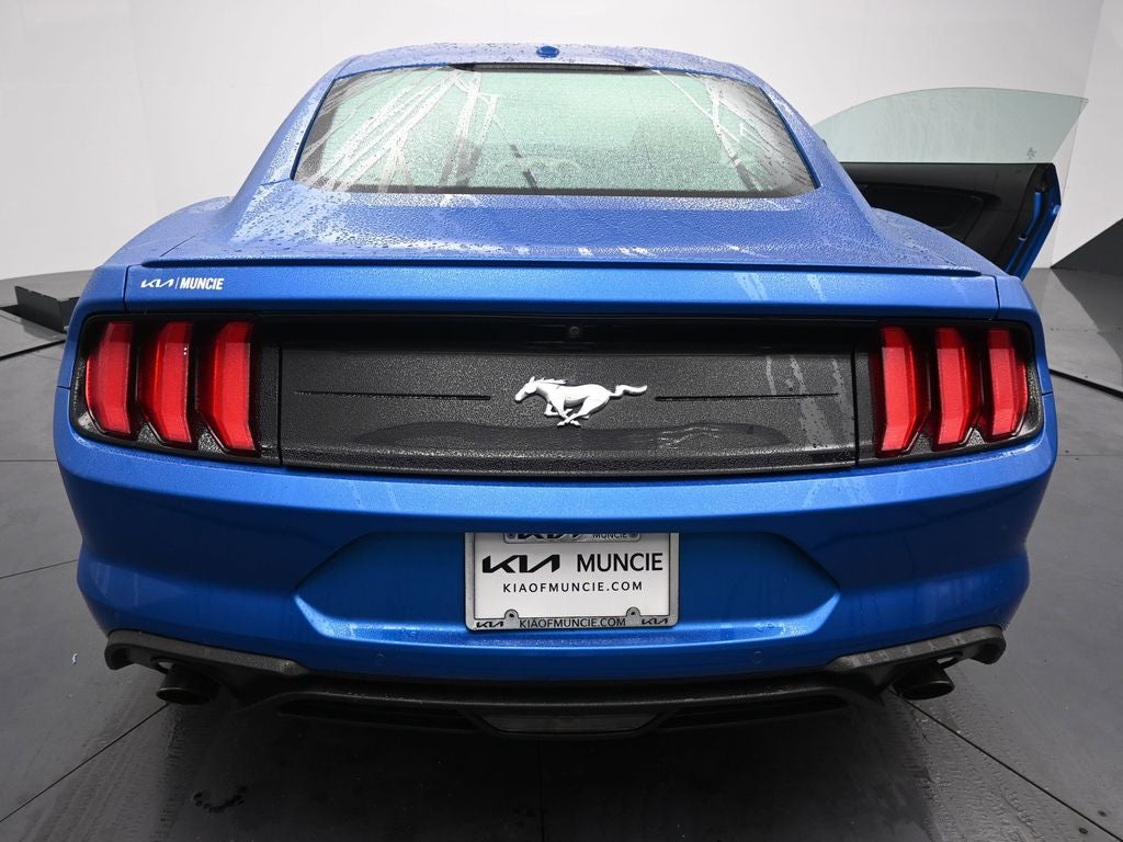 2019 Ford Mustang EcoBoost