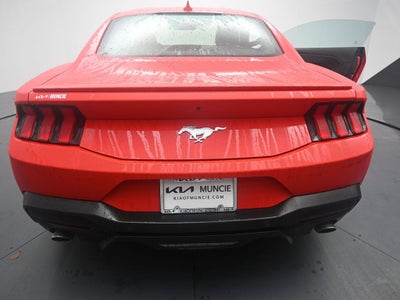 2024 Ford Mustang EcoBoost Premium