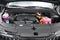 2026 Kia Carnival Hybrid LXS