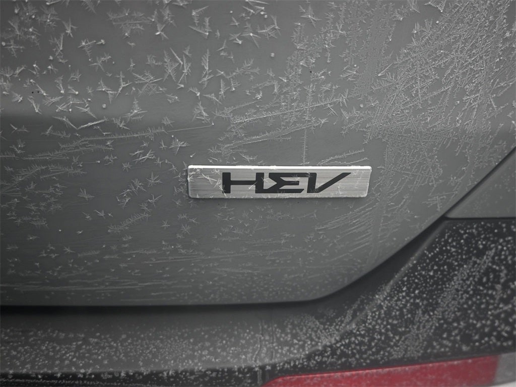 2025 Kia Carnival Hybrid EX