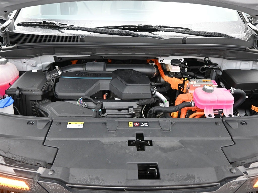 2025 Kia Carnival Hybrid EX