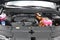 2027 Kia Carnival Hybrid EX