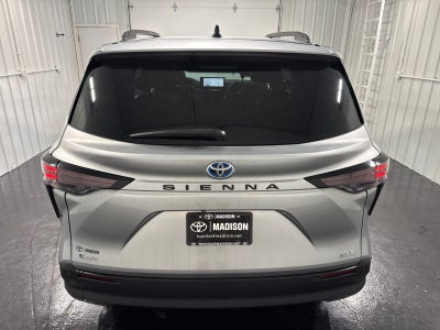 2025 Toyota Sienna XLE 8 Passenger