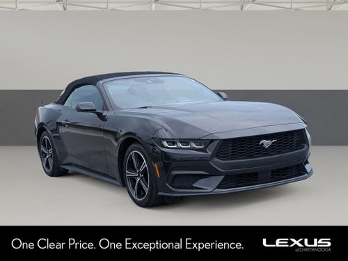 2024 Ford Mustang EcoBoost