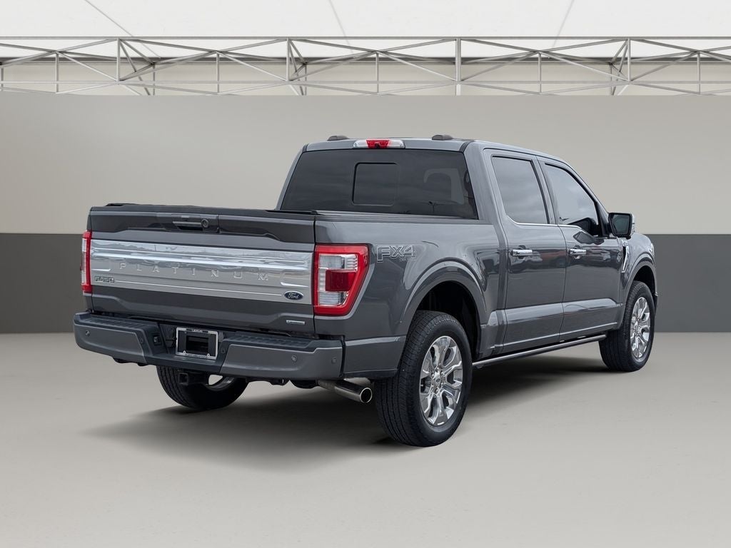 2023 Ford F-150 Platinum