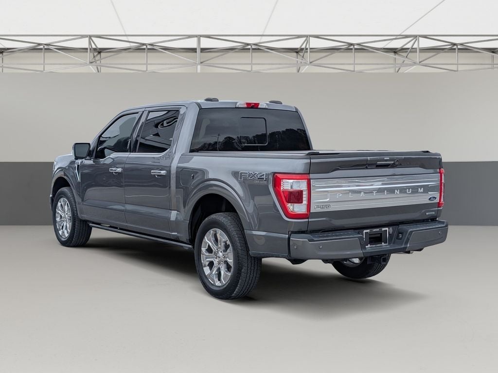 2023 Ford F-150 Platinum